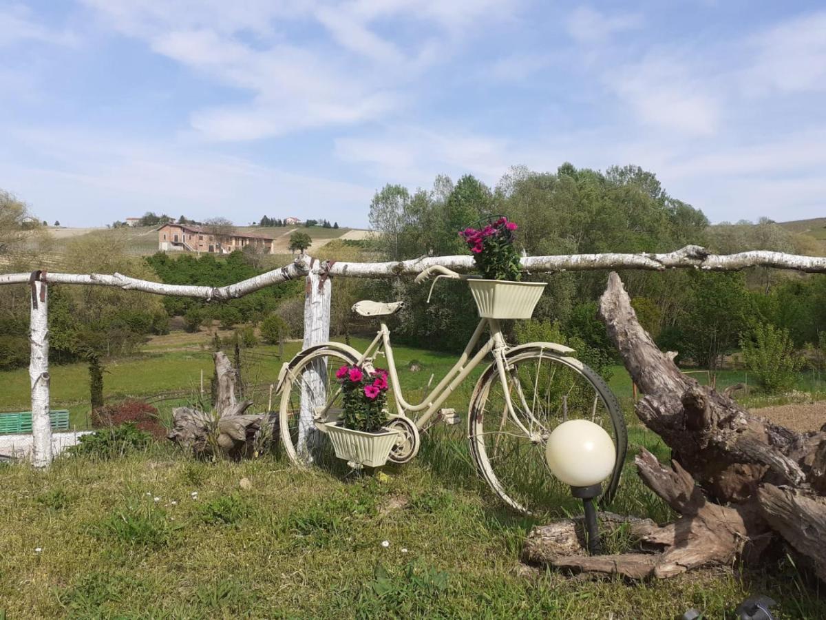 I Boidi Lägenhet Nizza Monferrato Exteriör bild