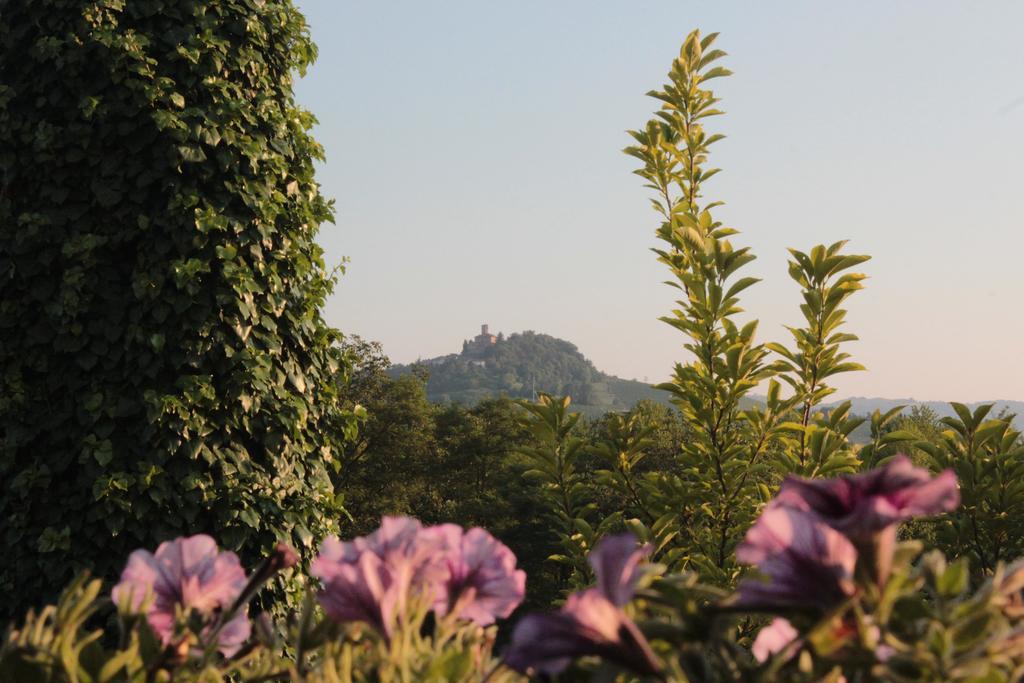 I Boidi Lägenhet Nizza Monferrato Rum bild