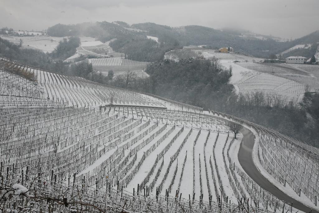 I Boidi Lägenhet Nizza Monferrato Exteriör bild