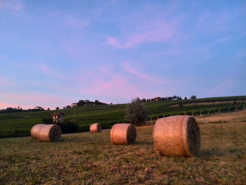 I Boidi Lägenhet Nizza Monferrato Exteriör bild
