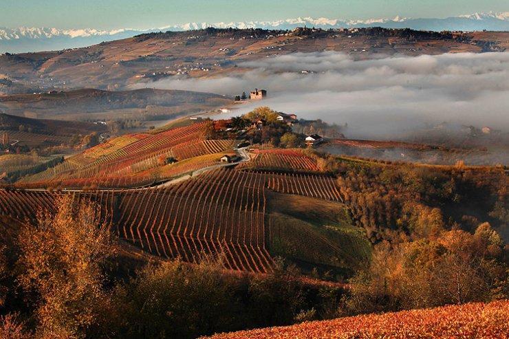 I Boidi Lägenhet Nizza Monferrato Exteriör bild