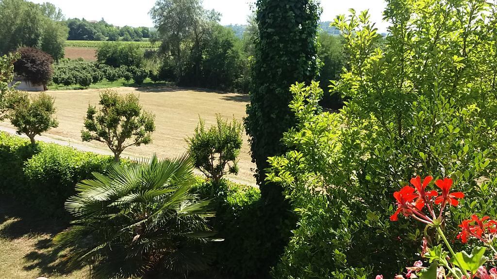 I Boidi Lägenhet Nizza Monferrato Exteriör bild
